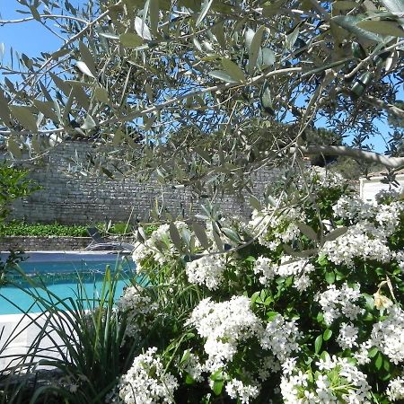 Villa Del Re 3 Face A La Piscine 라플로트 외부 사진