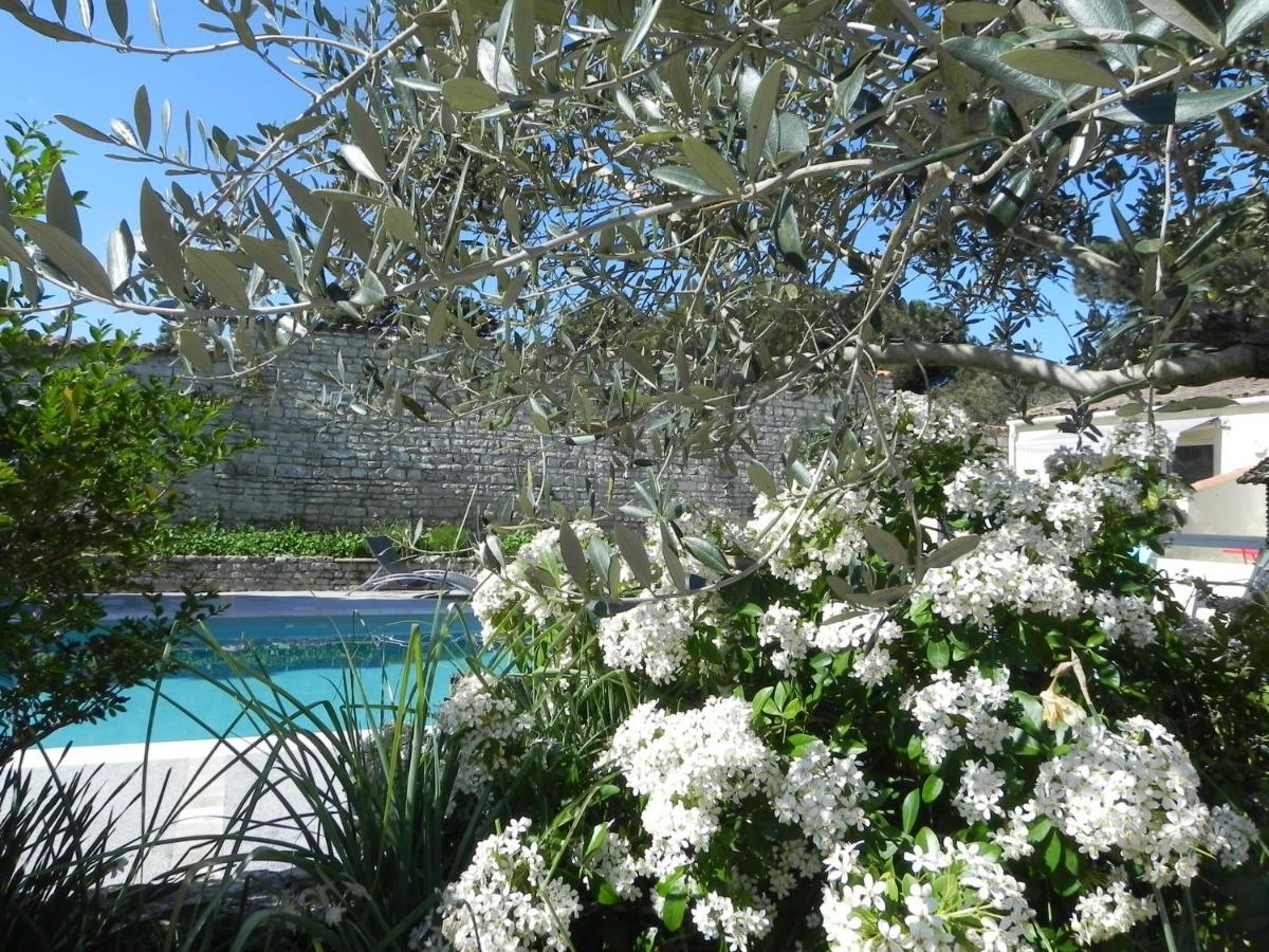 Villa Del Re 3 Face A La Piscine 라플로트 외부 사진
